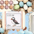 Cream coloured egg boxes, eggs and nests against a pale blue background. The Chocolate Detective eggs are different sizes and colours, decorated with speckles to represent birds eggs. Some are displated in an open box. A closed box has an illustration of a puffin and the writing '12 Puffin Eggs'