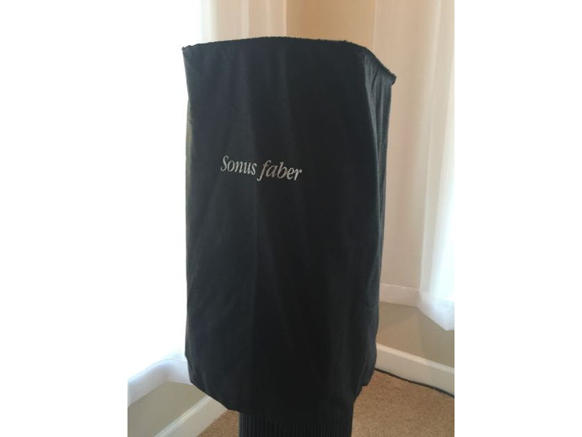 Sonus Faber Guarneri Evolution Stunning sound, Purchased from Authorized Sonus Faber dealer