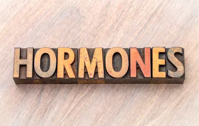 Calming still life of herbs and greenery