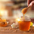 honey-is-nutrient-dense-survival-supply