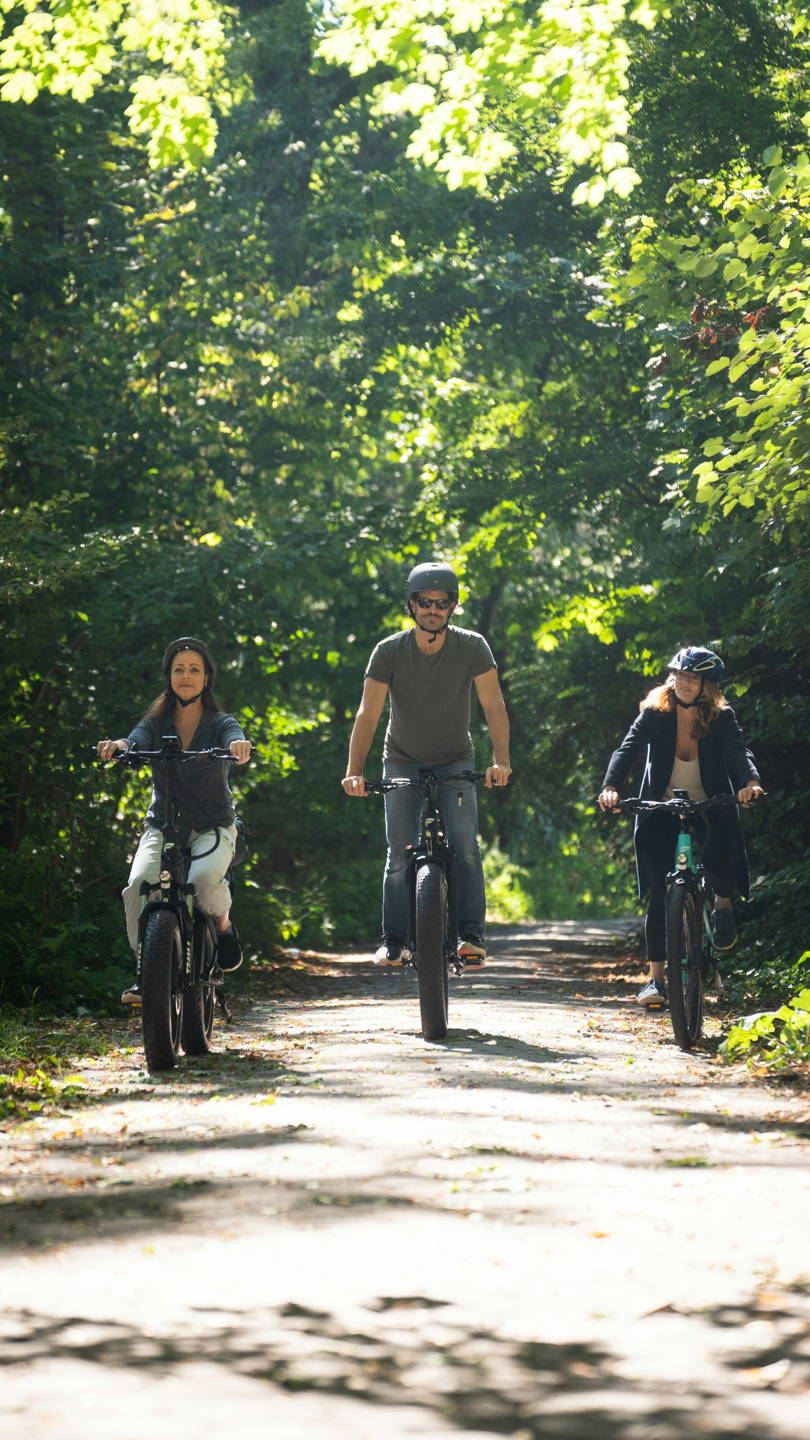 mountain bike elettrica