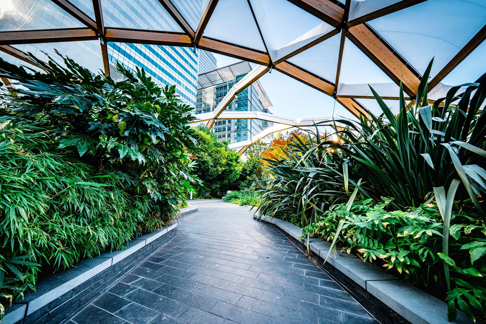 A modern covered walkway with lush green plants on both sides, shaded by a geometric glass and wooden roof, with tall city buildings visible in the background.