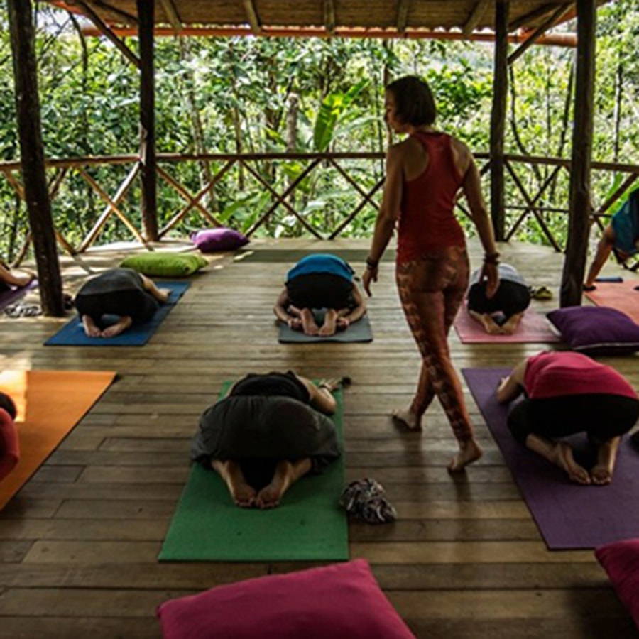 Ceremonial Cacao Retreat in Peru