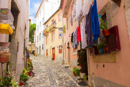 LIS Alfma street Pick Your Day.jpg