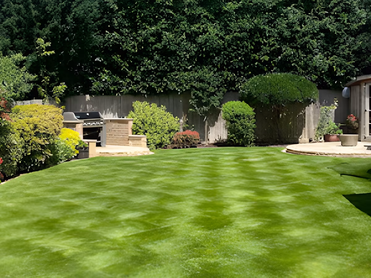 lustre gardens gardener bromley london