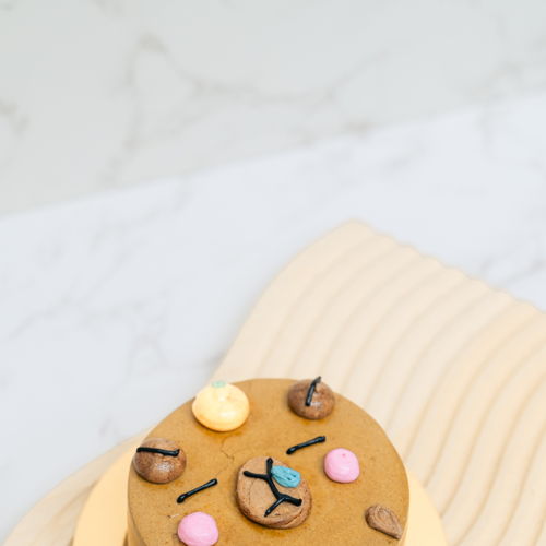 Capybara Petit Cakelet
