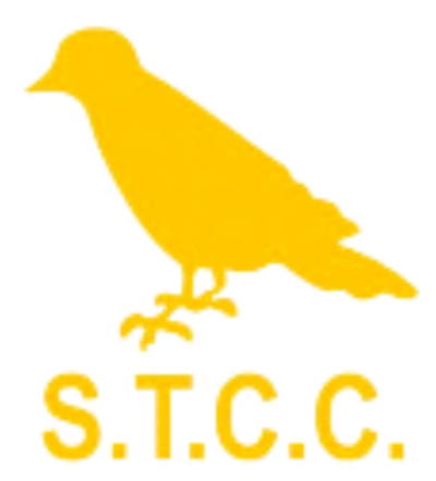 Southport Trinity Cricket Club Cricket Club Logo