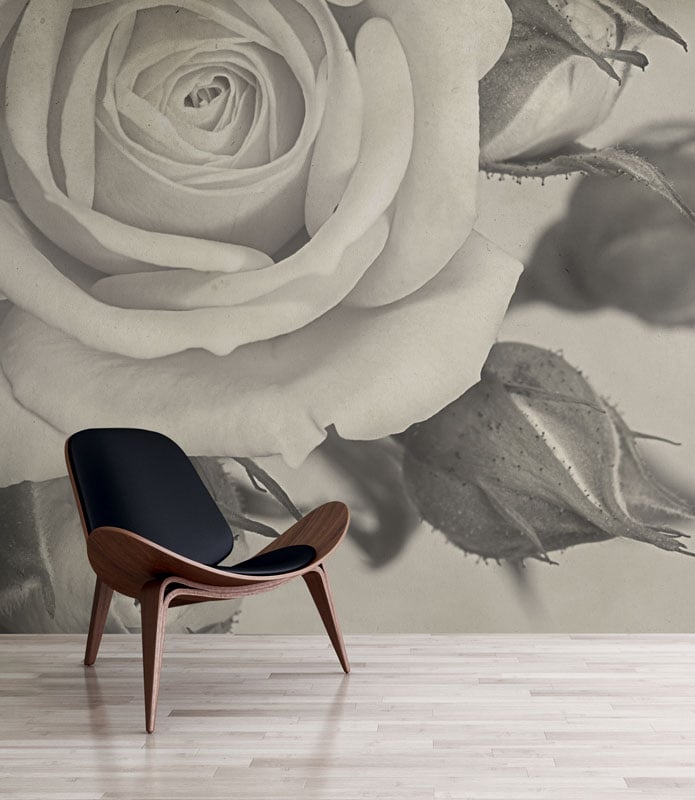 Grey Vintage Rose Wall Mural hero image