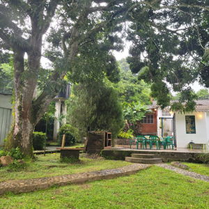 Garden and patio improvements for our Minca home!