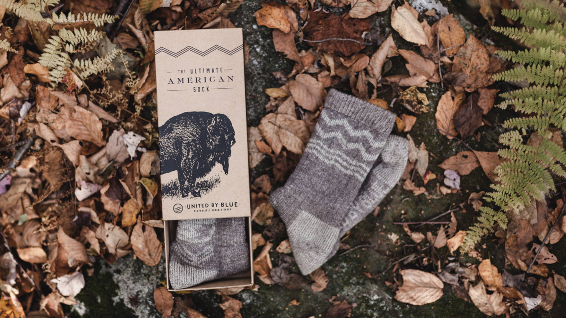 Featured image for Bison Down Socks