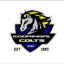 Kooringal Colts Cricket Club logo