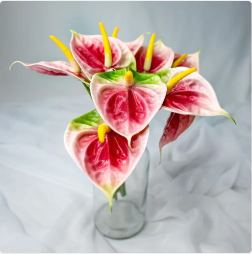 Pink/Green Small Anthurium - Realistic Artificial Flowers (Pack of 12 Stems) - Image 5