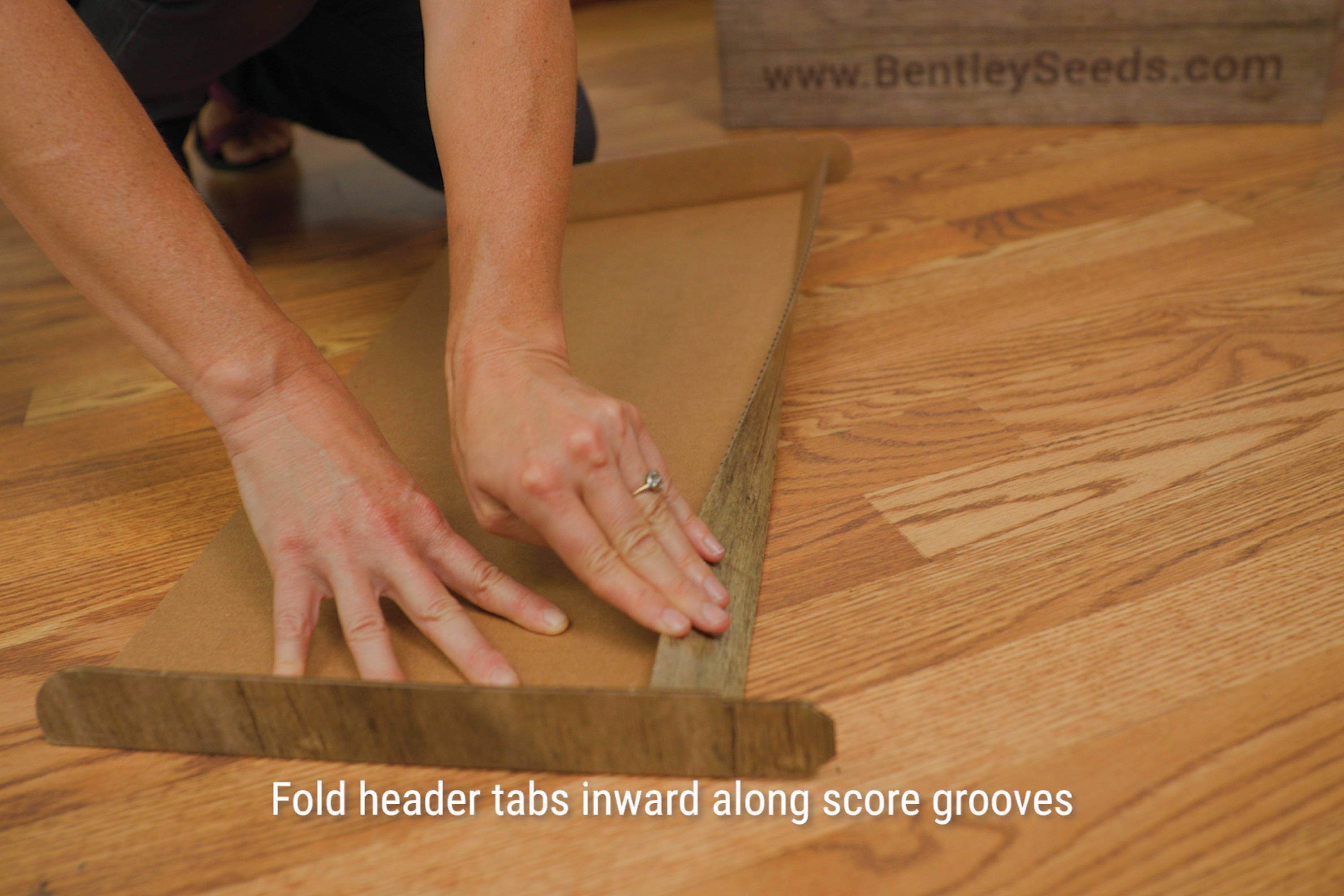 Bentley Seeds Display Instructions - fold header tabs inward along score grooves