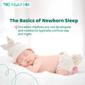 The Basics of Newborn Sleep | The Milky Box