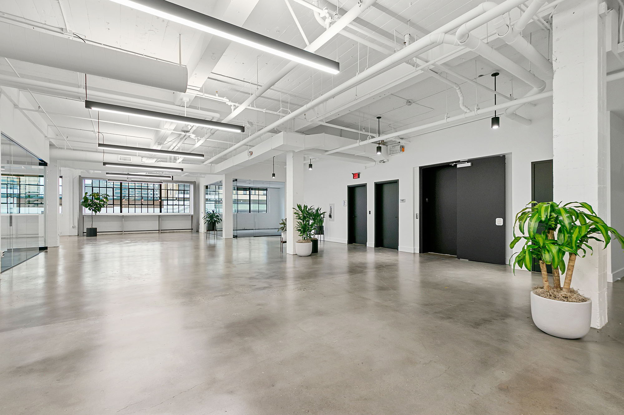 A spacious, modern office lobby with polished concrete floors, white walls, large windows, potted plants, and two black elevator doors. Exposed ceiling pipes and ample lighting create an open, airy feel.