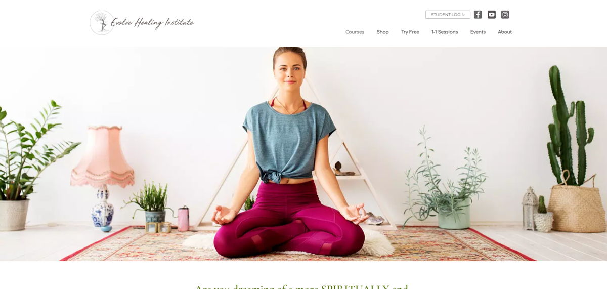 Screenshot of Evolve Healing Institute, from the wix websites collection.