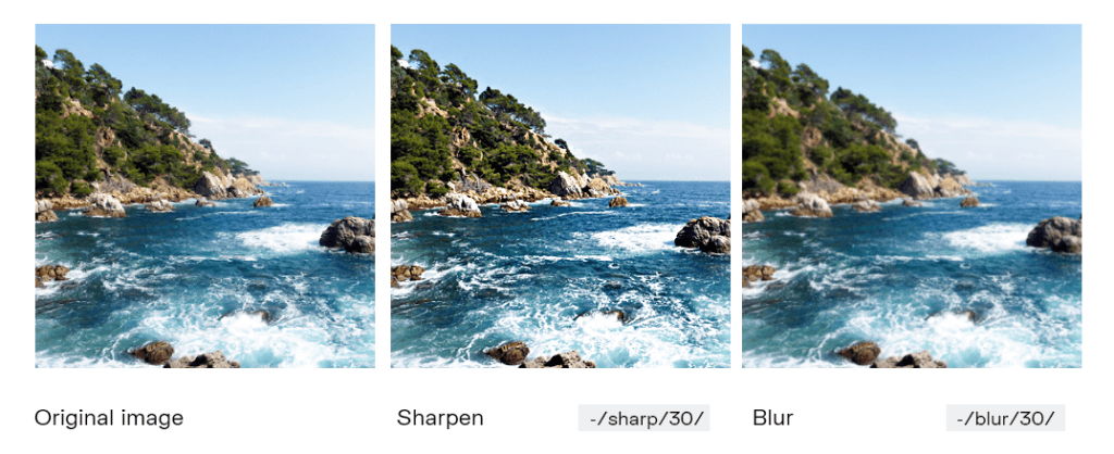 An example of how to sharpen or blur an image online with Uploadcare