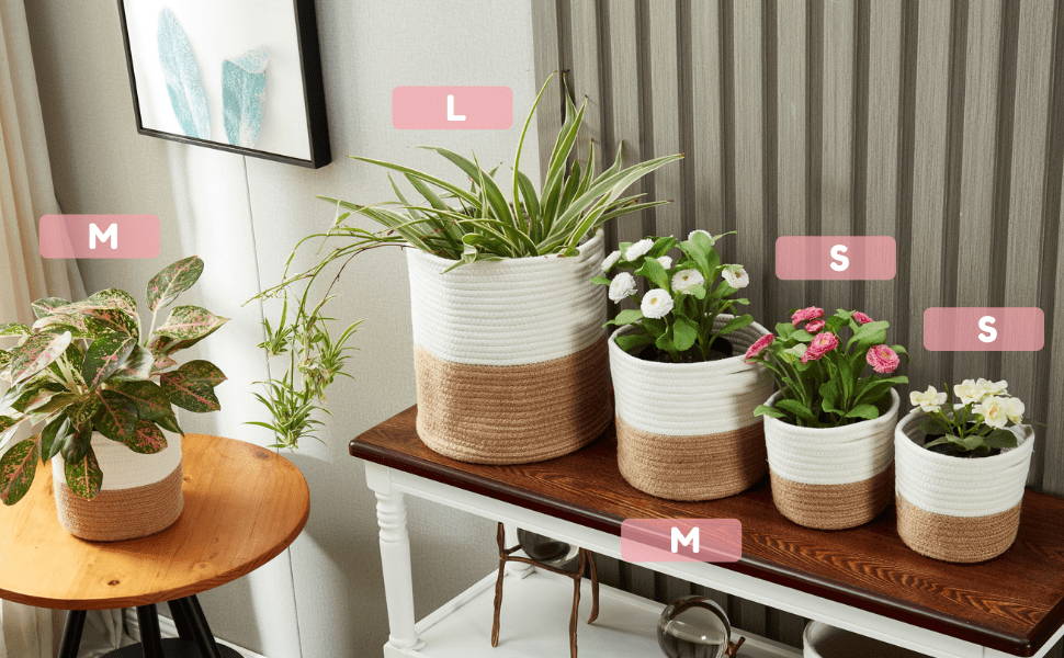 Multi-Size Bins