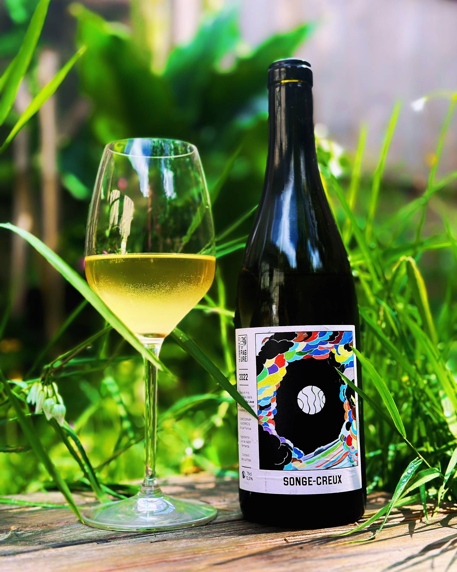 France, vin nature, rawwine, organic wine, vin bio, vin sans intrants, vin sans souffre, vin sans sulfites ajoutés, raizin brut, vin rouge, vin blanc, rouge, blanc, nature, vin propre, vigneron, vigneron indépendant, domaine bio, biodynamie, vigneron nature, cave vin naturel, cave vin, caviste, vin biodynamique, raizin brut, Quimper, Finistère , morbihan, le vignoble de pagure, chardonnay, auxerrois, songe creux, jura, doubs, arbois, la vallée de la loue, hugo courvoisier