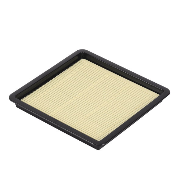 Soba noodle plate