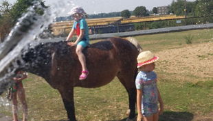 iris brosen pferd an pfütze plus kinder