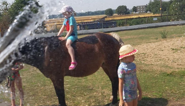 iris brosen pferd an pfütze plus kinder