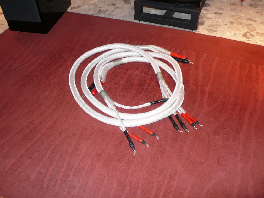 STEALTH CLOUDE GRAND SPEAKER CABLE BI WIRING CONFIGURATION WITH 10 FOOT