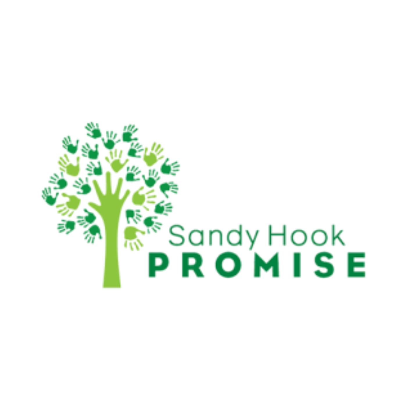Sandy Hook Promise 