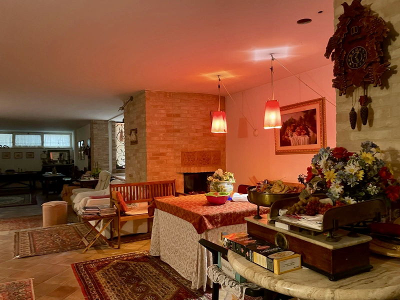 Food experiences San Benedetto del Tronto: A journey through Marche flavors: 3 course lunch or dinner