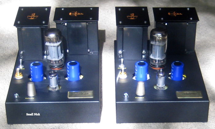 JohnBlue Audio Art TL66 Tube Mono Block Amps