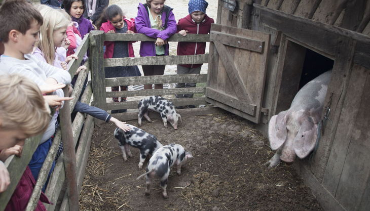 kiekeberg museum suesse tiere