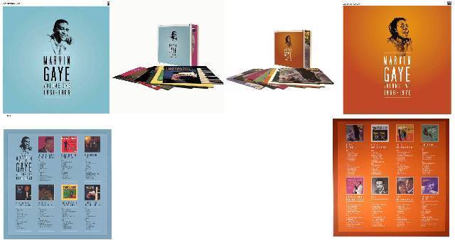 Marvin Gaye Set of 2 Box Sets - 14 Vinyl LP's