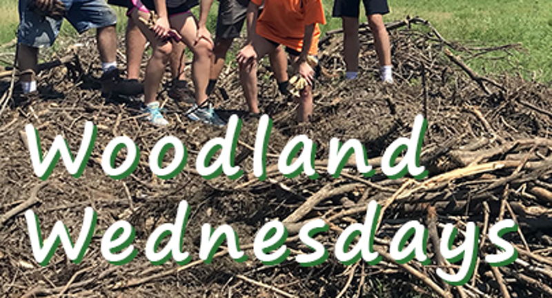 Woodland Wednesdays at Prairiewoods
