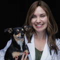 Veterinarian Dr. Hillary Wolfe smiling and holding a little dog.