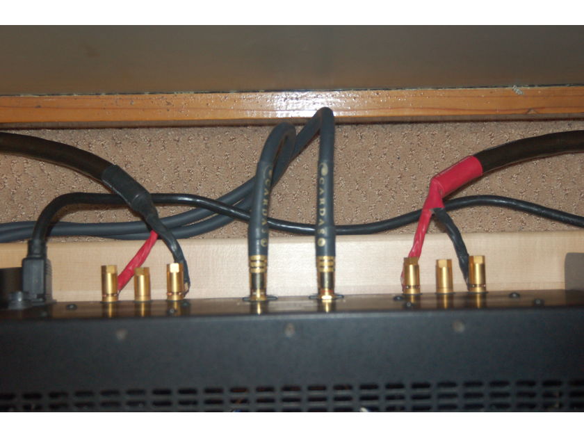 Cardas Audio Golden Ref int 1.0 Meter RCA Interconnects pair