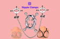 nipple clamps guide