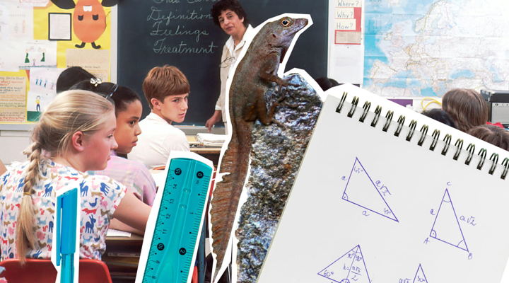 Main Content Image