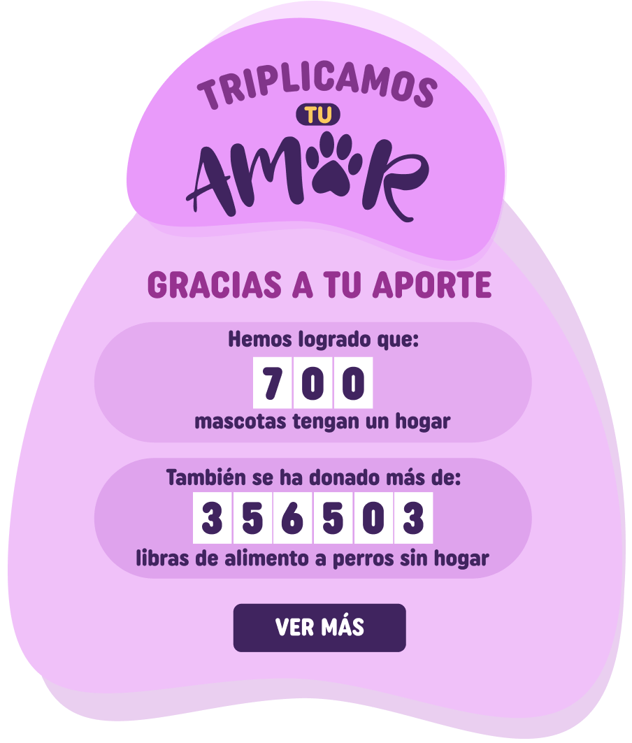 Donaciones - Duplicamos tu amor