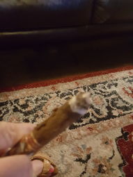 Cigar Session Photo