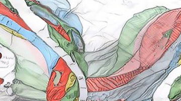 Main Content Image