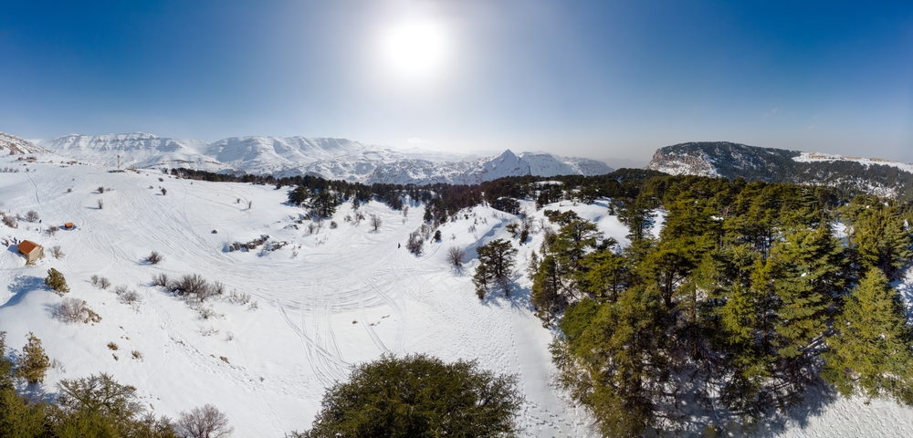Drone view of Mount Lebanon mountain range, with old cedar tree forest, snow covered landscape in winter, Lebanon, Middle East