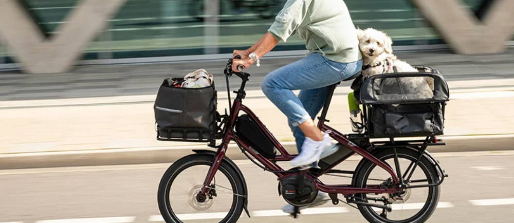Urban Arrow cargo electric bike motor close up