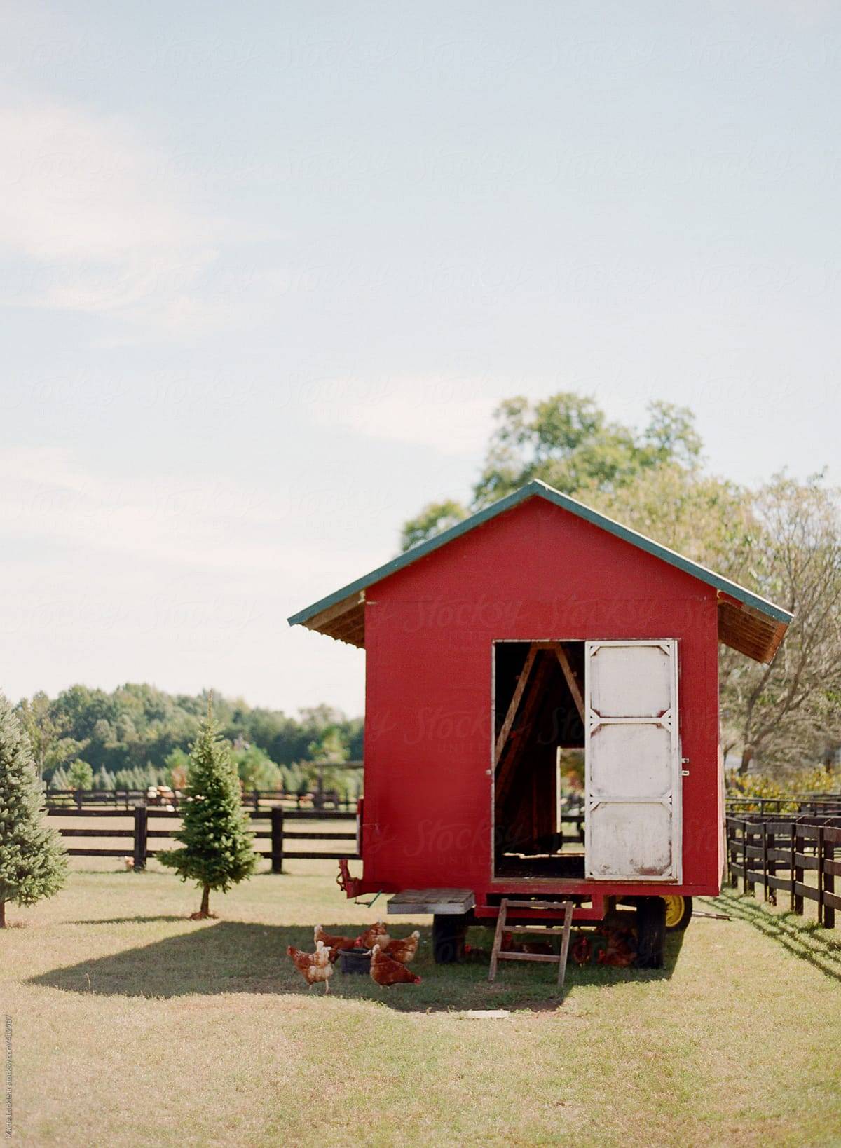 Getting Started with Stock Photography Chicken Coop