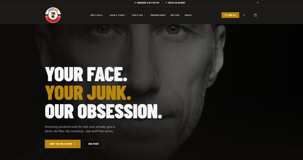 Screenshot of Face and Junk, from the godaddy airo websites collection.