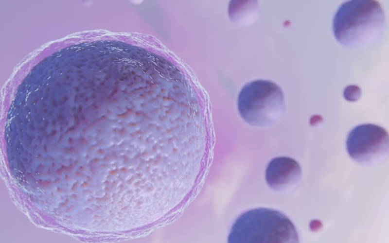 The CoQ10 Codex: How much CoQ10 for fertility? The CoQ10 Codex: How much CoQ10 for fertility?
