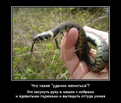 Что такое 