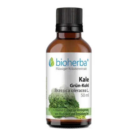 Kale Grün - Kohl, Brassica oleracea L., Tropfen, Tinktur 50 ml