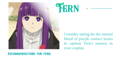 Consider opting for the natural blend of purple contact lenses to capture Fern's essence in your cosplay.