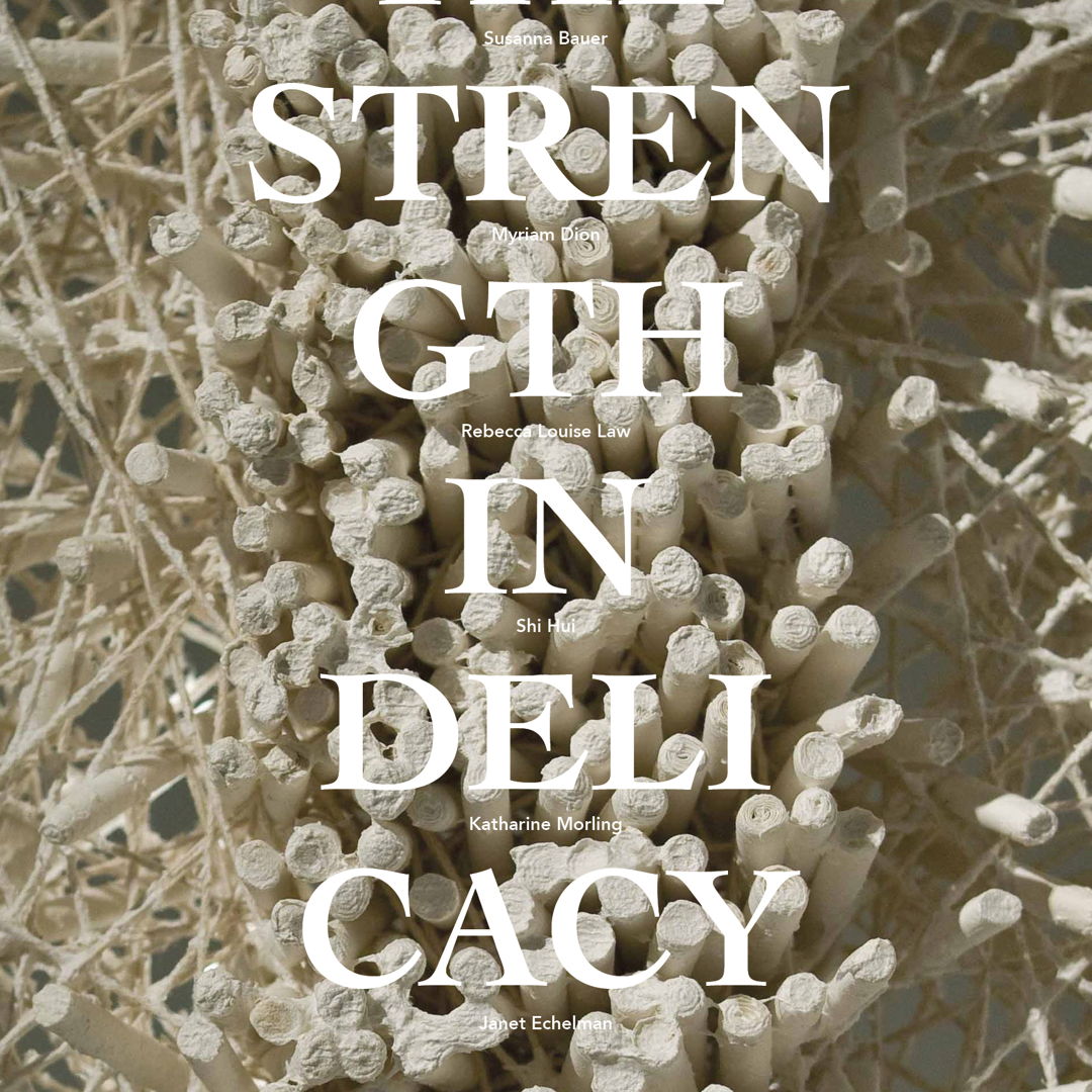 Image of Strength in Delicacy