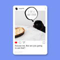 Dog Instagram caption - hungry dog